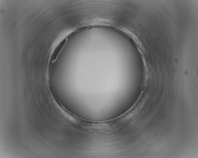 X0000071911285200607281819