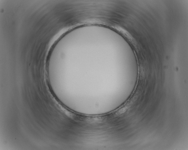 X0000071911286200607281819