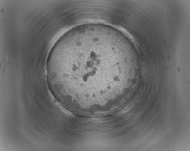 X0000071911287200607281819