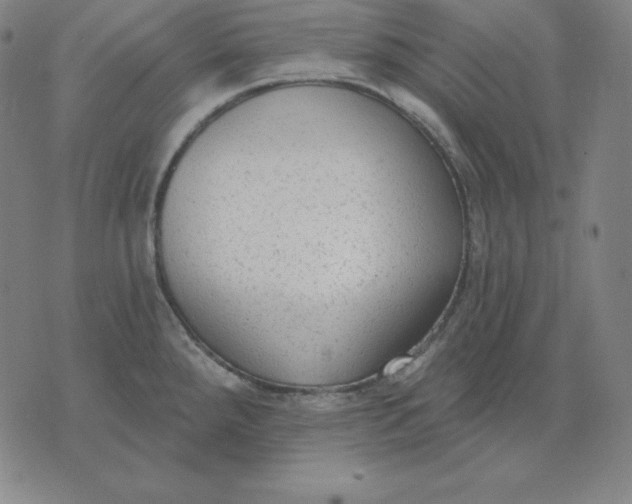 X0000071911288200607281819