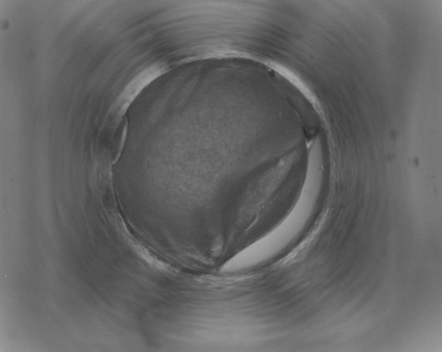 X0000071911289200607281819