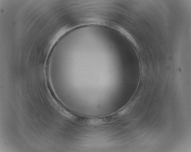 X0000071911291200607281819