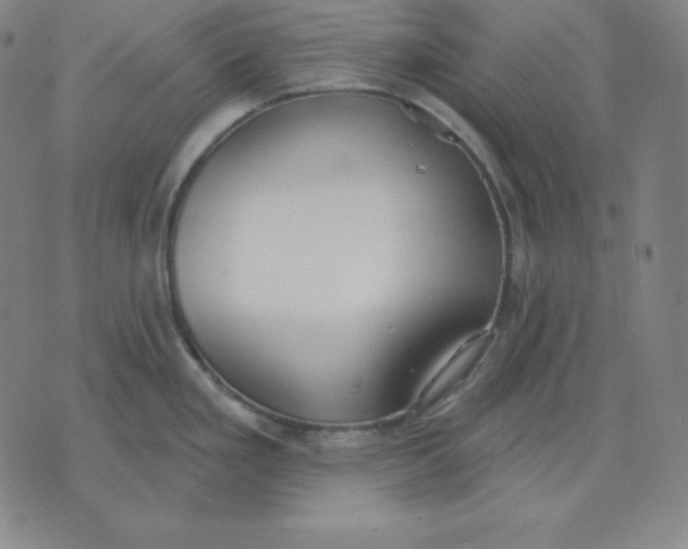 X0000071911293200607281819