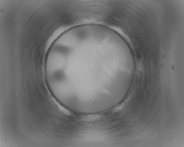 X0000071911294200607281819