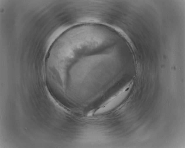 X0000071911295200607281819