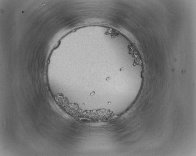 X0000071911296200607281819