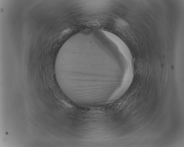 X0000071911297200607281818