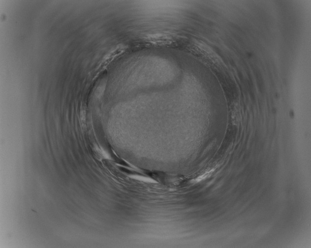 X0000071911298200607281818