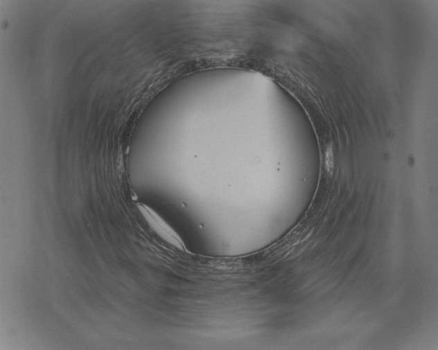 X0000071911299200607281818