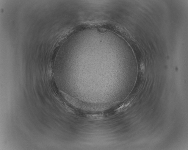 X0000071911300200607281818