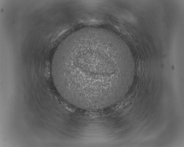 X0000071911301200607281818