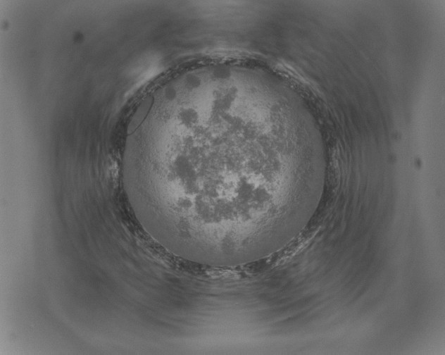 X0000071911302200607281818