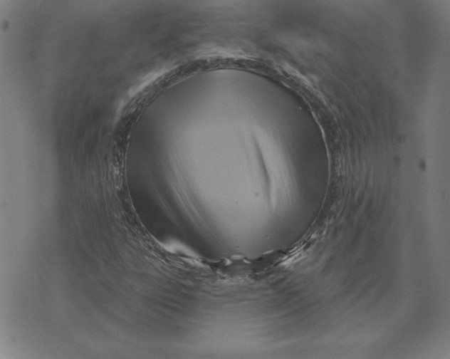 X0000071911303200607281818