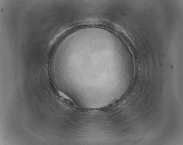 X0000071911304200607281818