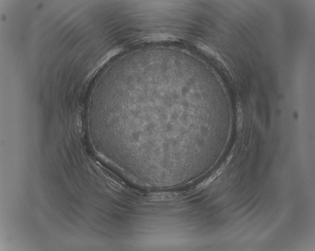 X0000071911305200607281818