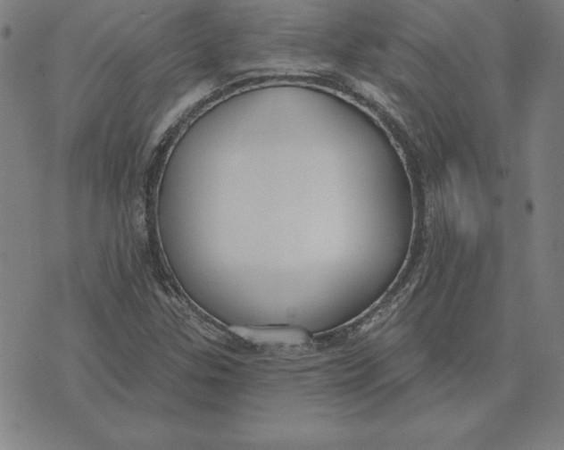 X0000071911307200607281818