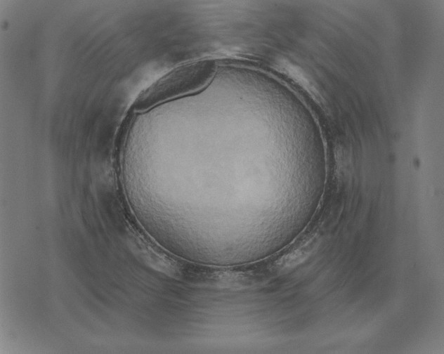 X0000071911308200607281818