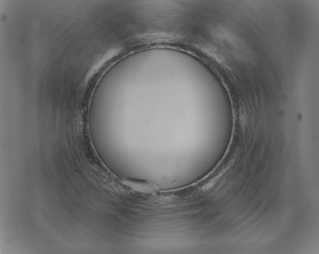 X0000071911309200607281818