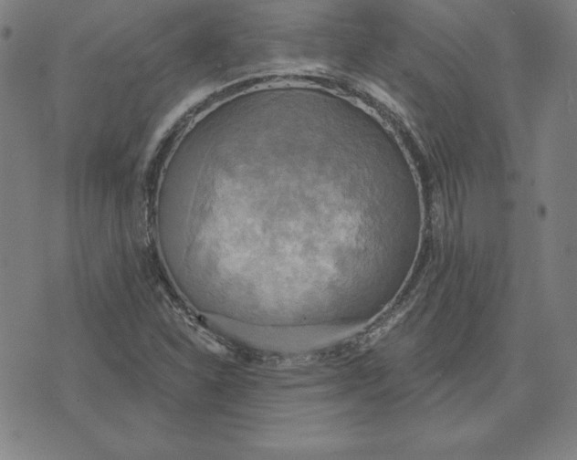 X0000071911310200607281818