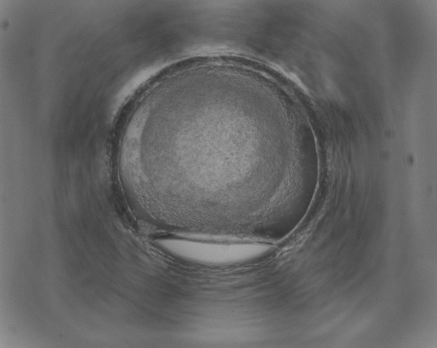 X0000071911311200607281818