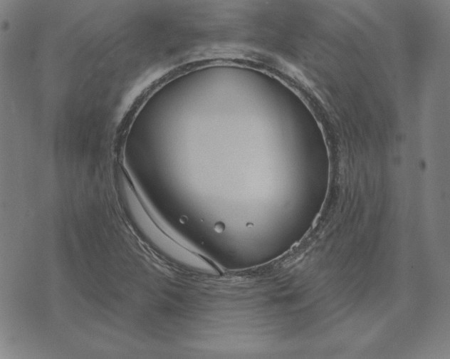 X0000071911312200607281818