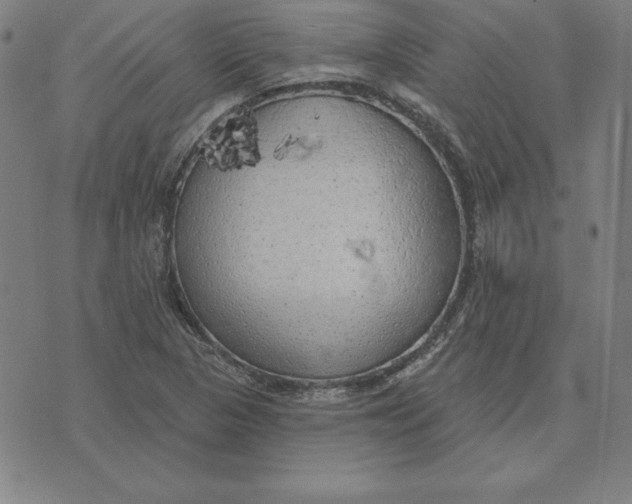 X0000071911313200607281818