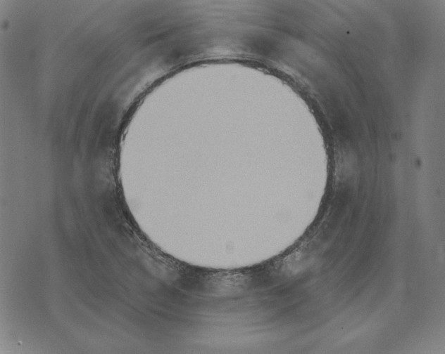 X0000071911314200607281818