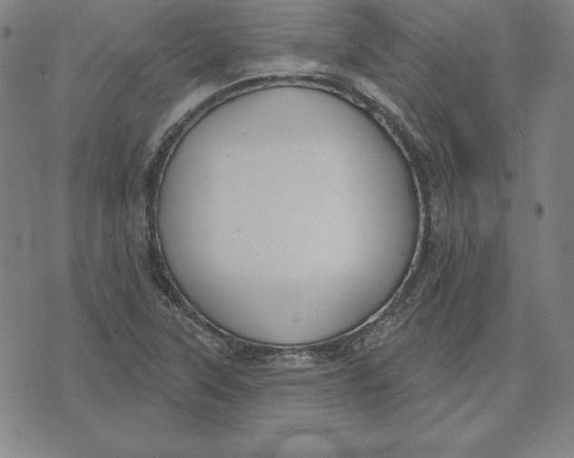 X0000071911315200607281818