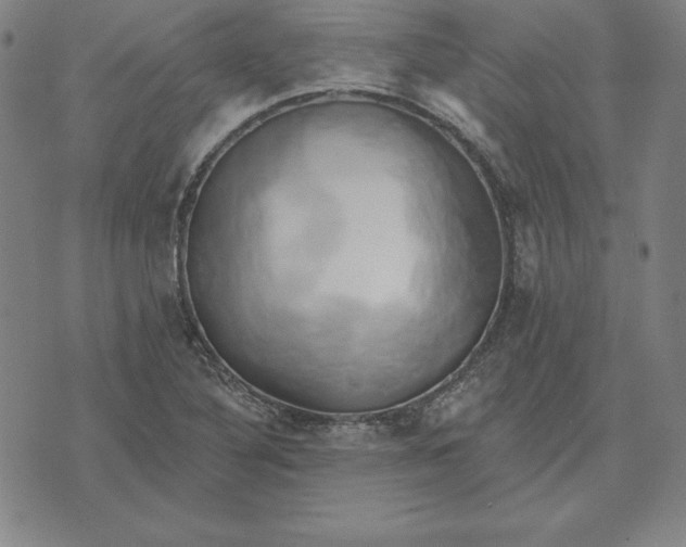 X0000071911316200607281818