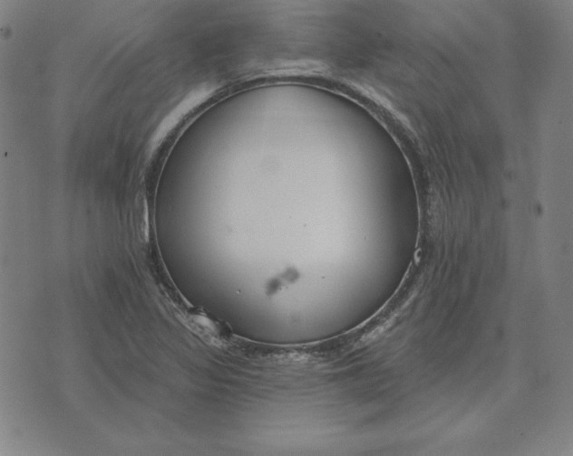 X0000071911317200607281818