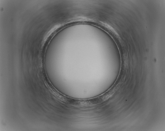 X0000071911318200607281818