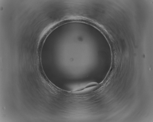 X0000071911319200607281818