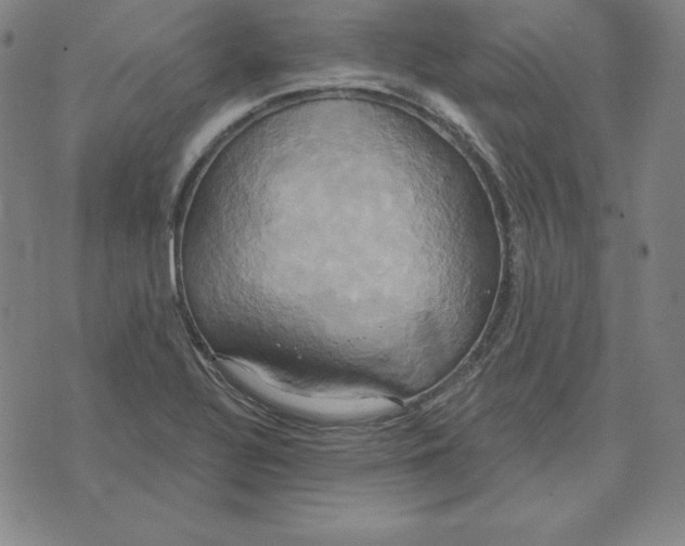 X0000071911320200607281818