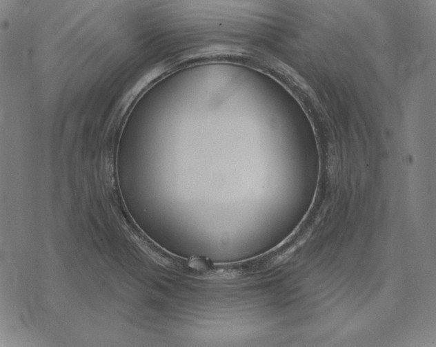 X0000071911321200607281818