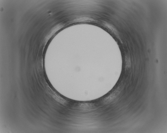 X0000071911322200607281818