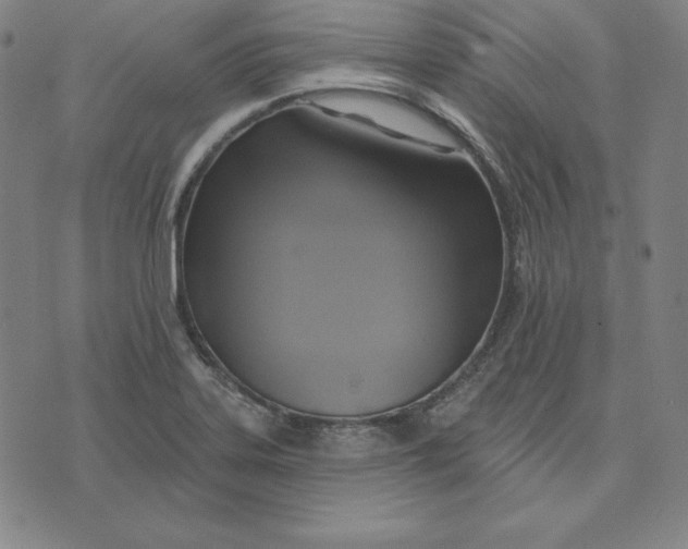 X0000071911323200607281818