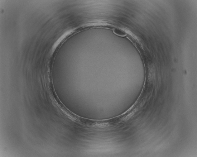 X0000071911325200607281818