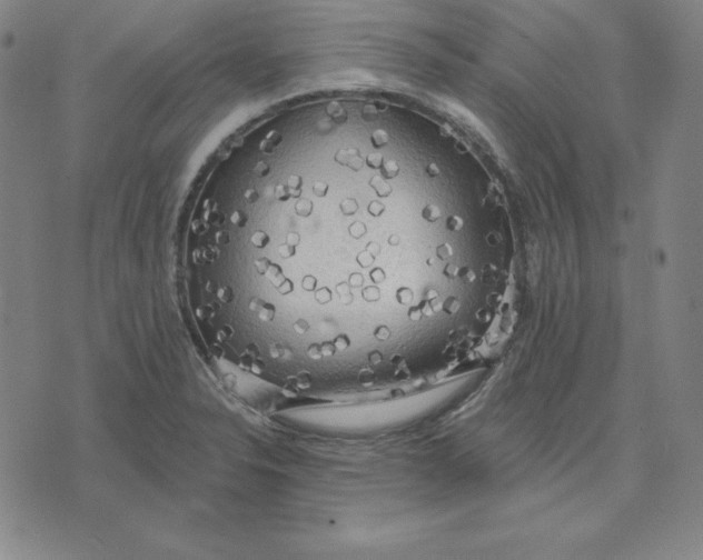 X0000071911326200607281818