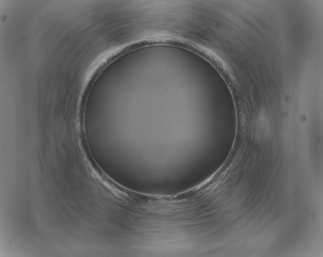 X0000071911327200607281819