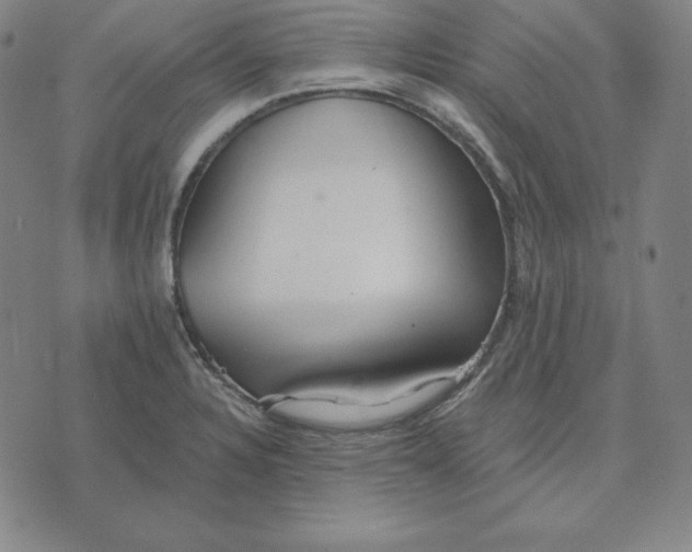 X0000071911328200607281819