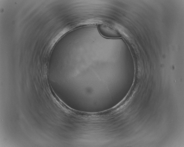 X0000071911329200607281819