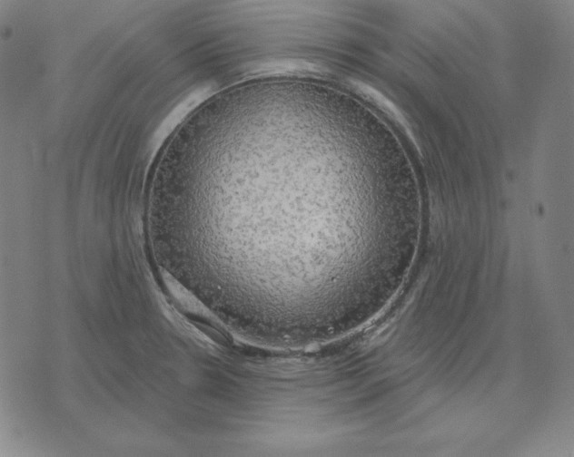 X0000071911330200607281819