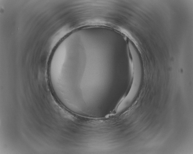 X0000071911331200607281819