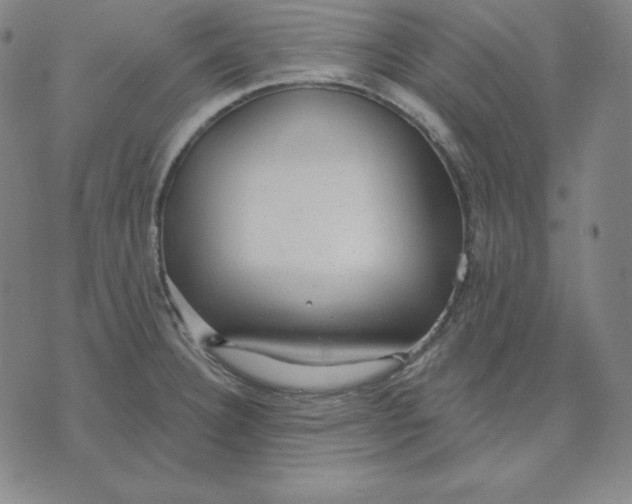 X0000071911332200607281819