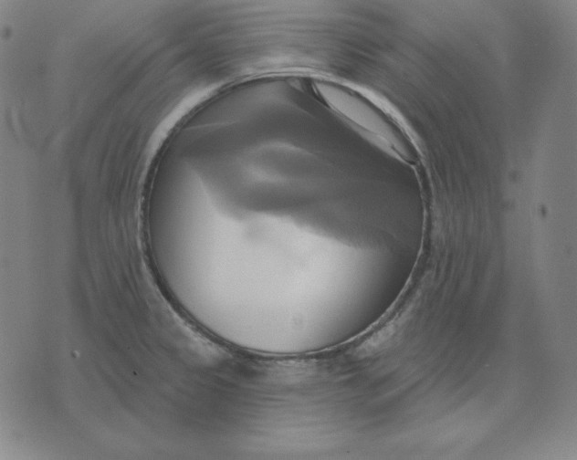 X0000071911333200607281819