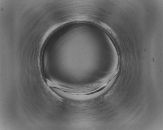 X0000071911334200607281819