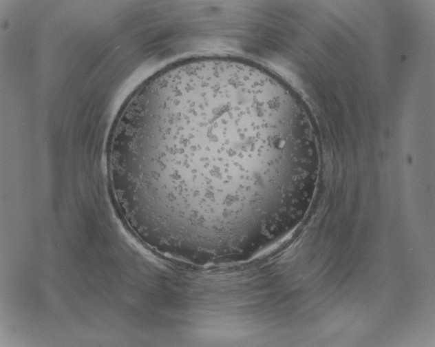 X0000071911335200607281819