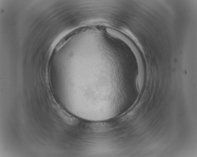 X0000071911336200607281819