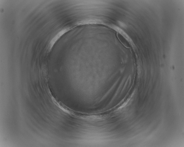 X0000071911337200607281819