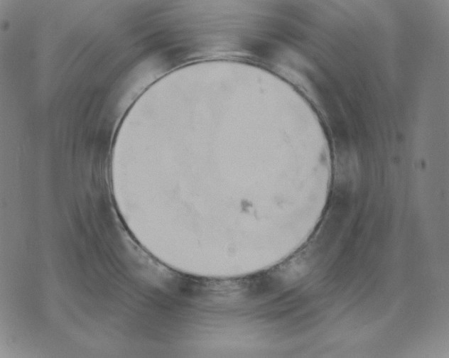 X0000071911338200607281819